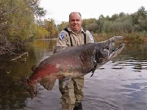 Chinook Salmon