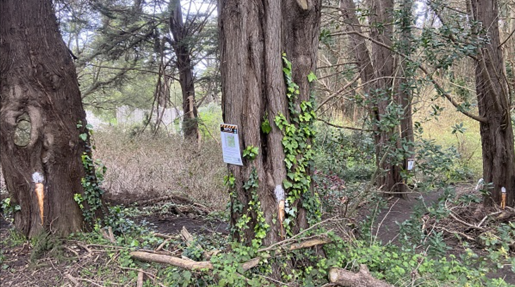 McClaren Park Trail Notice