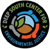 DS Logo
