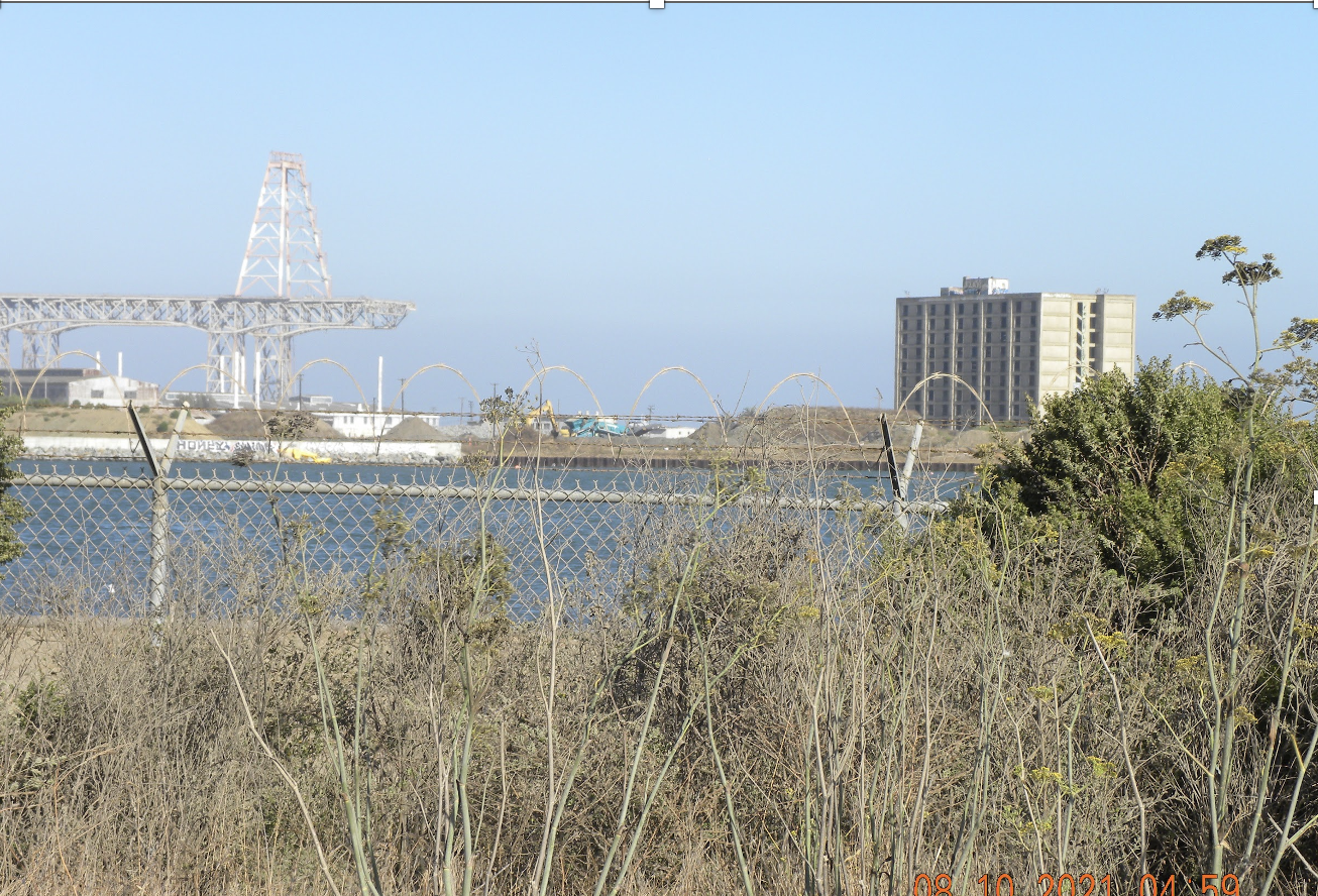 Homes near the Crane