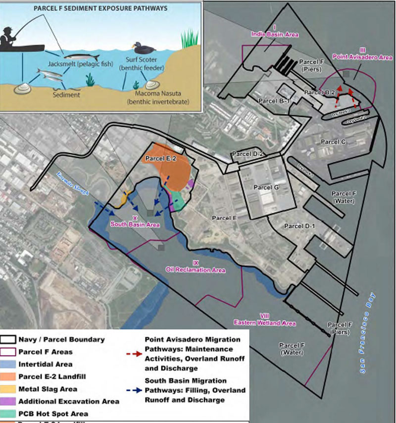 Parcel F Biomonitoring