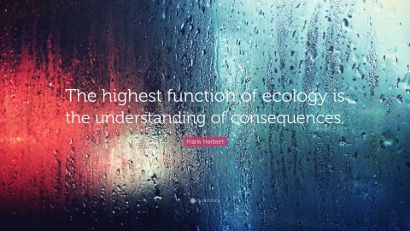ecology quote