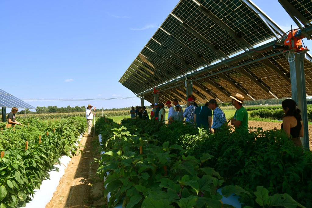 agrivoltaics - farmworkers