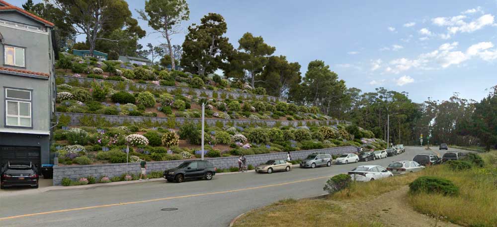Open hillside near Twin Peaks in San Francisco
