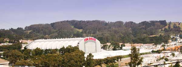 The Cow Palace